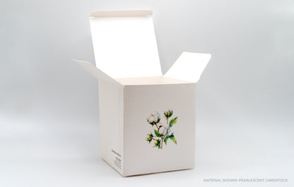 Lock Bottom Box