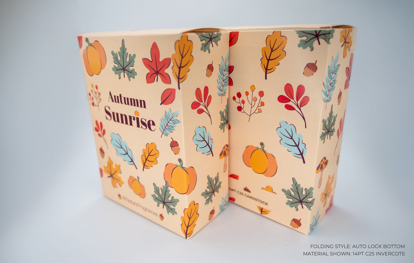 Auto Lock Bottom Box